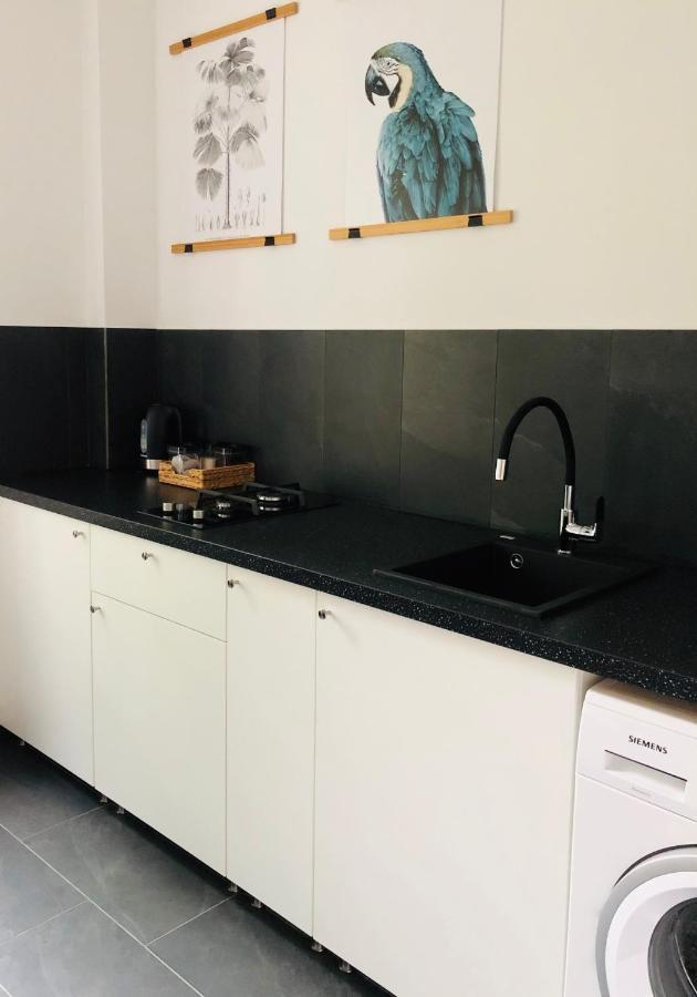 Ferienwohnung Pobuudka II Plebanska Z Widokiem Na Rynek Gliwice Exterior foto